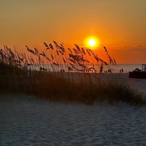 Meet your Posher, Barb